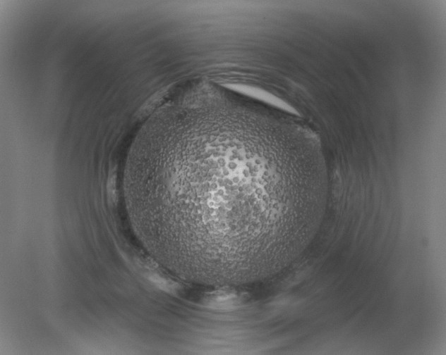 X0000079330267200612011915