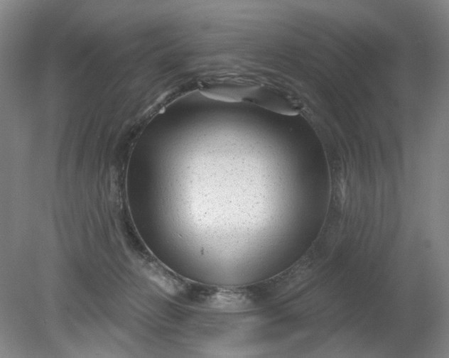 X0000079330270200612011915