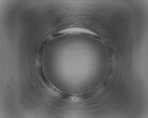 X0000079330272200612011916