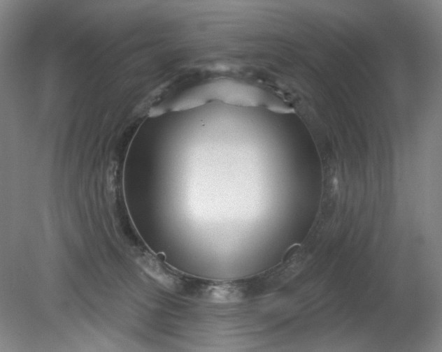 X0000079330275200612011916