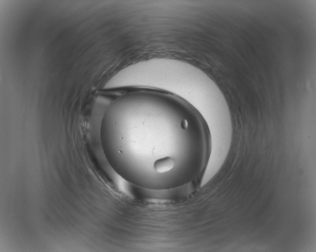X0000079330280200612011916