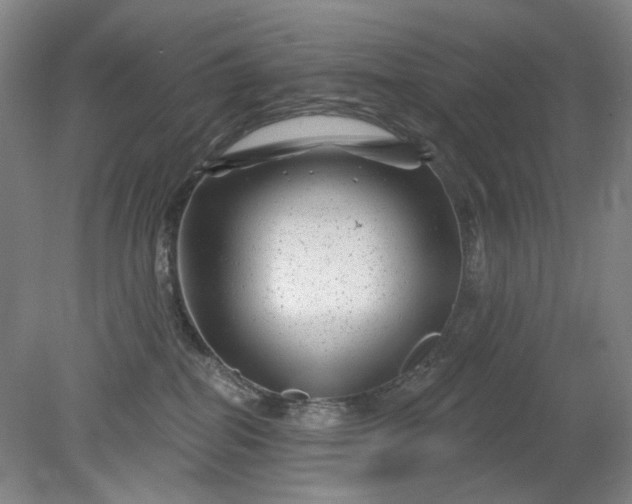 X0000079330282200612011916