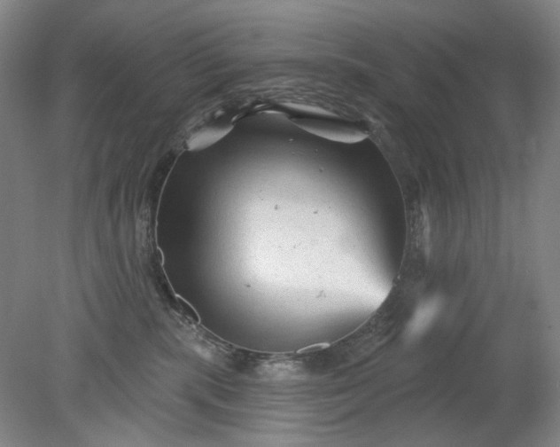 X0000079330283200612011916