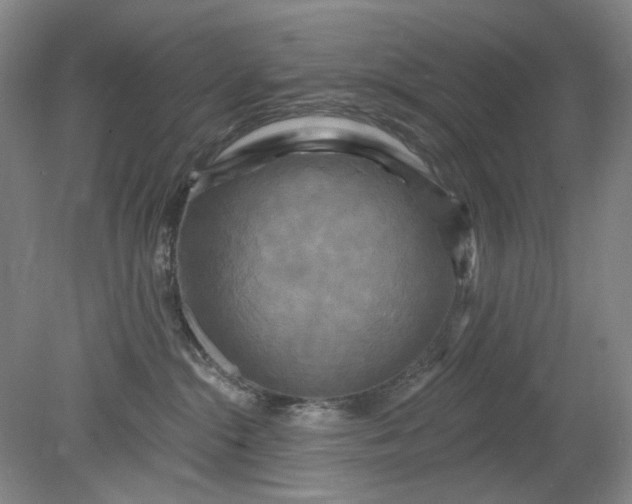 X0000079330284200612011916