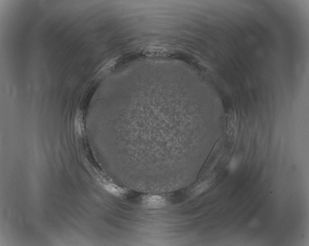 X0000079330287200612011916