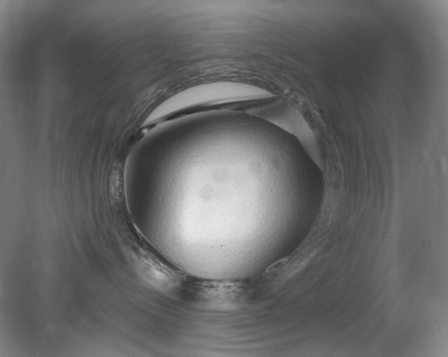 X0000079330288200612011916