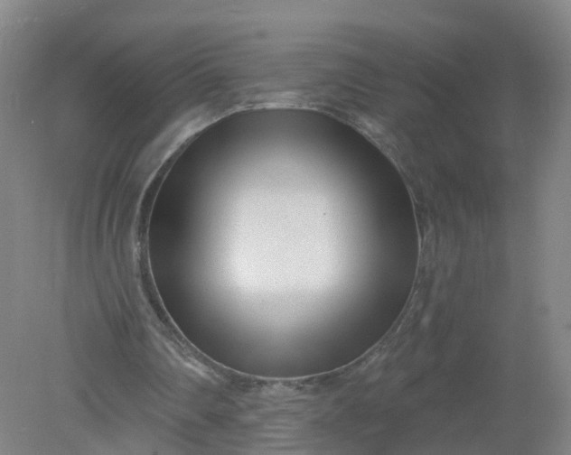 X0000079330290200612011915