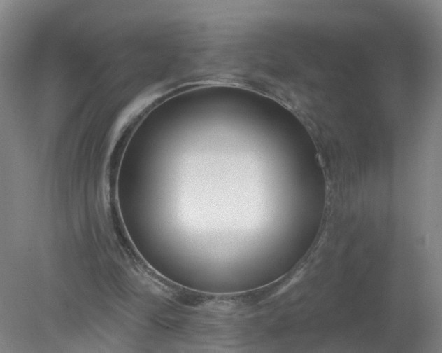 X0000079330294200612011915