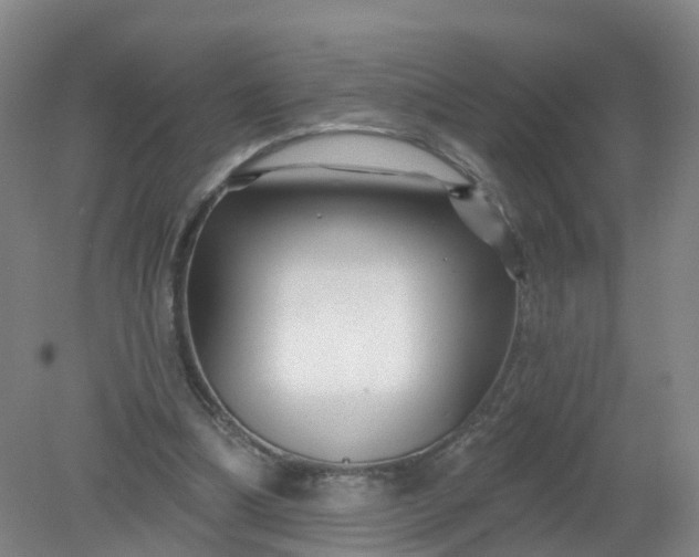 X0000079330298200612011915