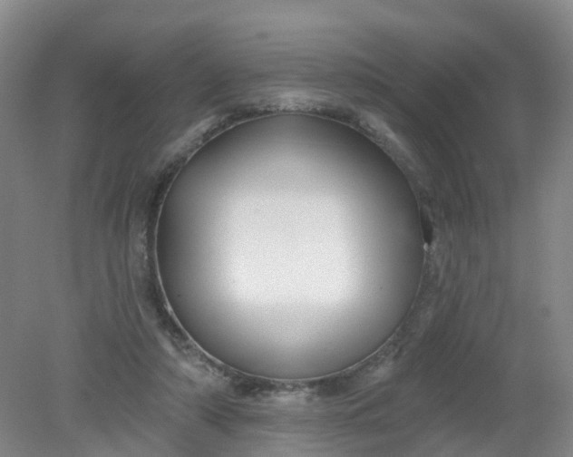 X0000079330306200612011915
