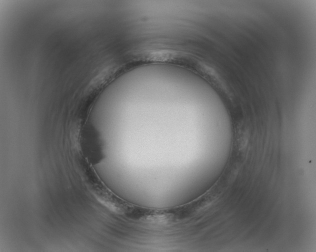 X0000079330307200612011915