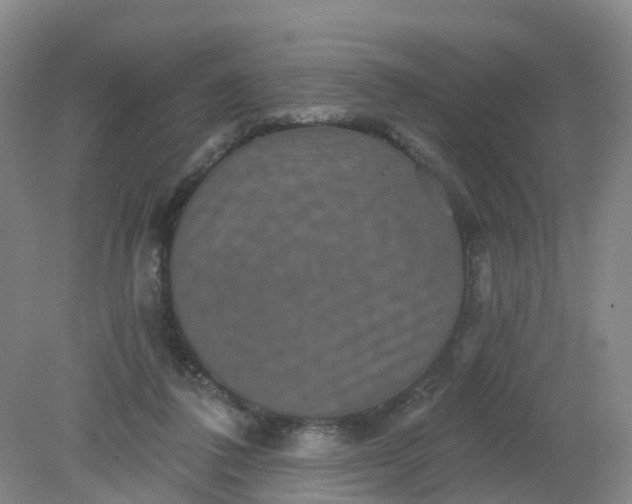 X0000079330308200612011915