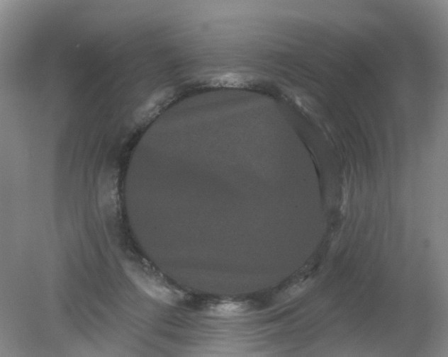 X0000079330312200612011915