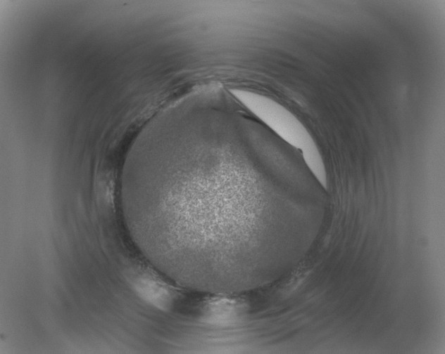 X0000079330315200612011915