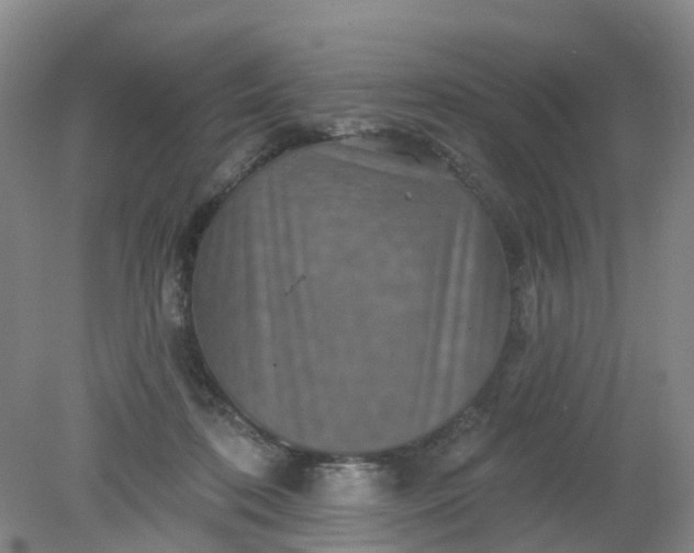 X0000079330316200612011915