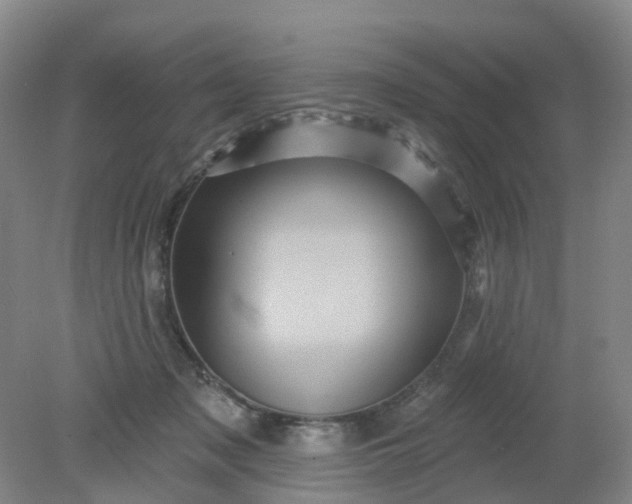X0000079330317200612011915