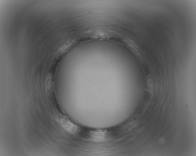X0000079330318200612011914