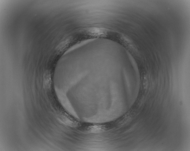 X0000079330320200612011914