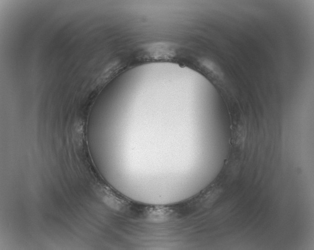 X0000079330321200612011914