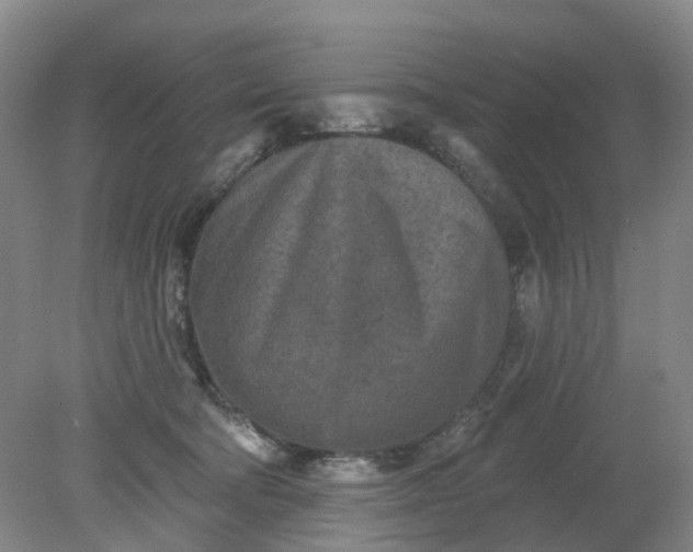 X0000079330322200612011914