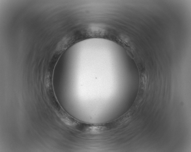 X0000079330323200612011914
