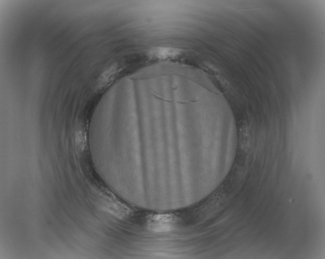 X0000079330324200612011914