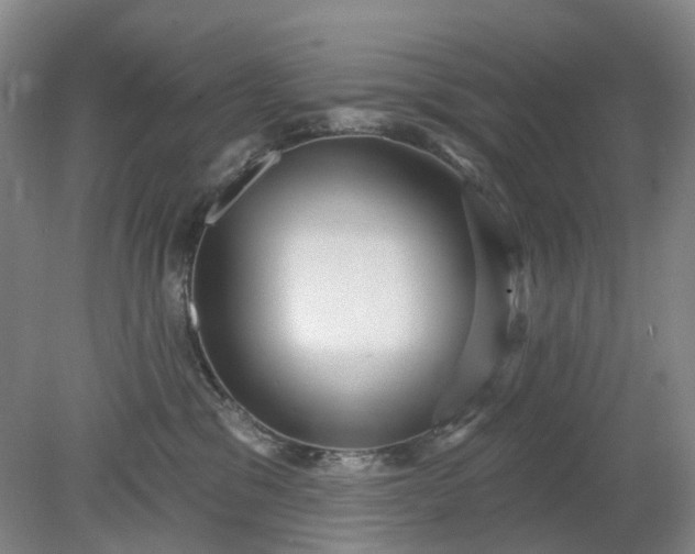X0000079330329200612011914