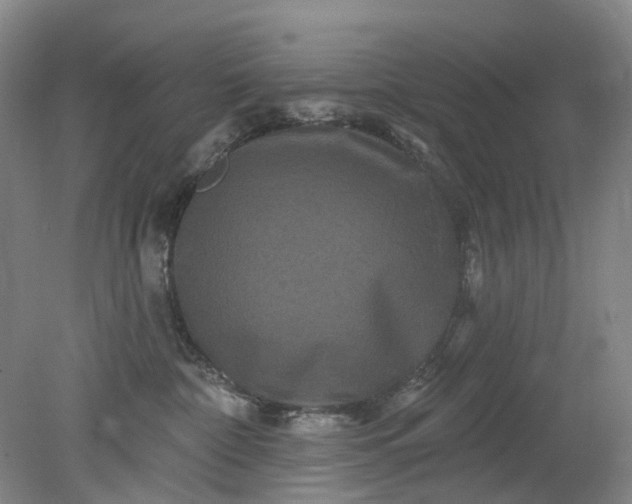 X0000079330332200612011914