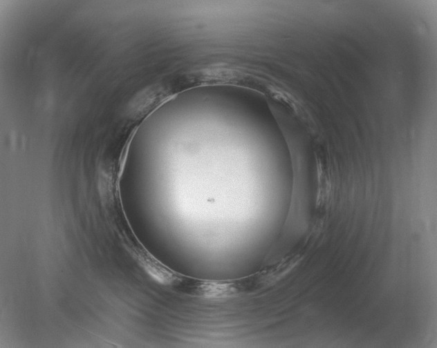 X0000079330333200612011914