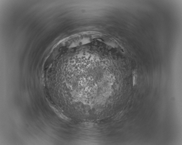 X0000079330339200612011913