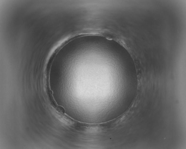 X0000079330342200612011913