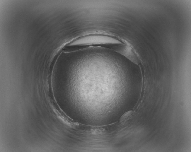 X0000079330345200612011914