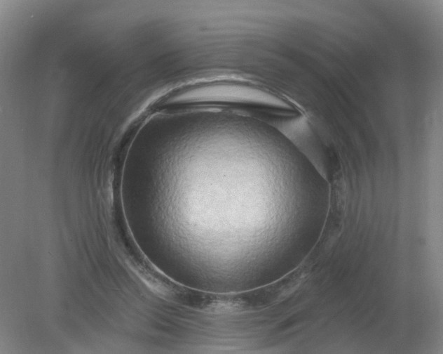 X0000079330350200612011914