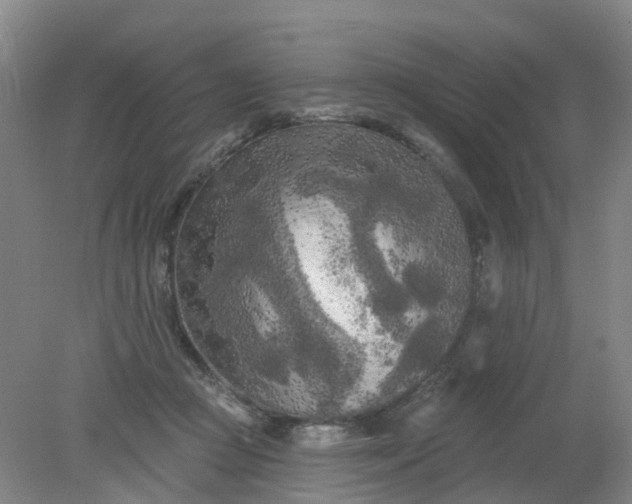X0000079330361200612011914