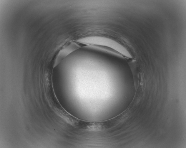 X0000079330362200612011914