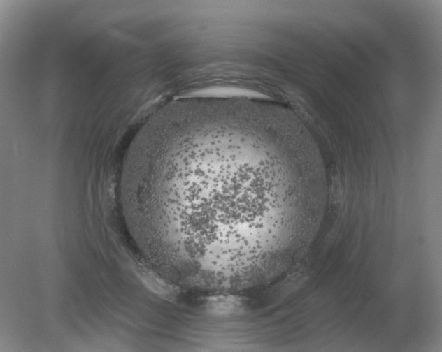 X0000079330363200612011914
