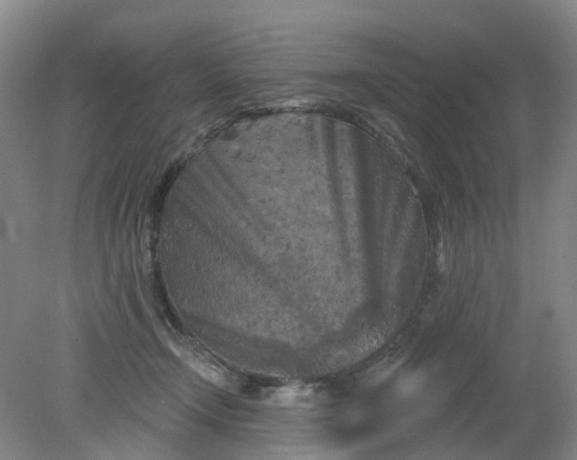 X0000079330366200612011914