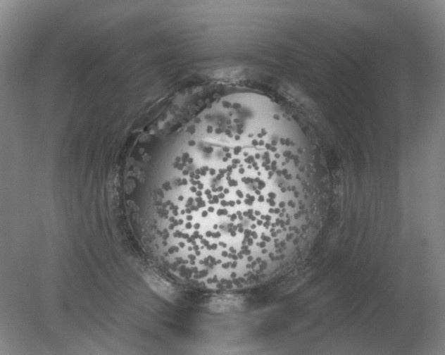 X0000079330369200612011914