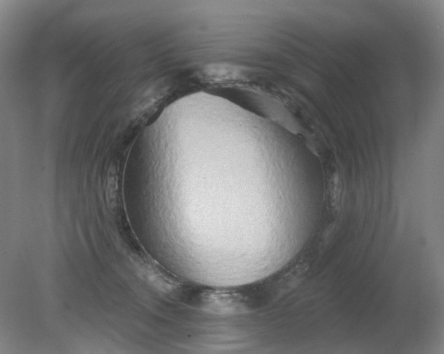 X0000079330372200612011914