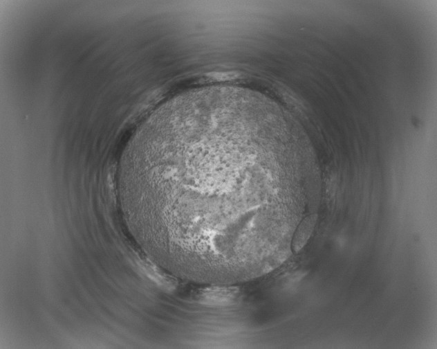 X0000079330373200612011914
