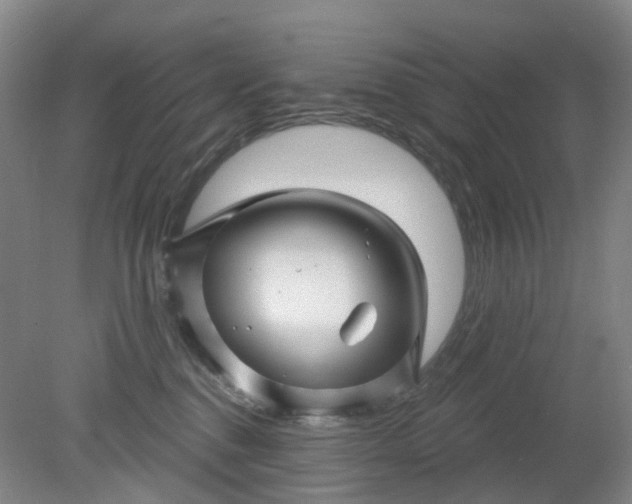 X0000079330376200612011914