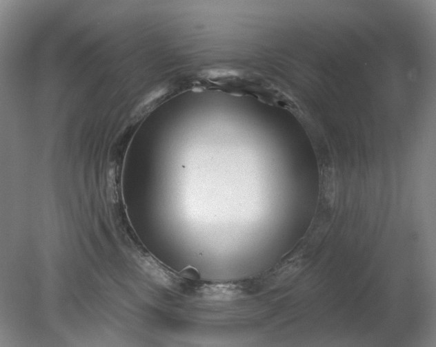 X0000079330378200612011914