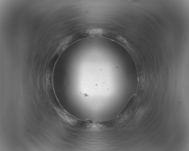 X0000079330379200612011914