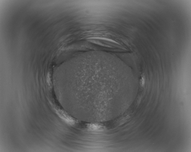 X0000079330380200612011914