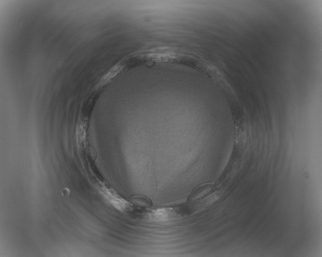 X0000079330382200612011914