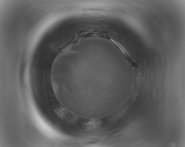 X0000079330383200612011914