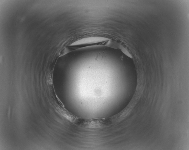 X0000079330384200612011914