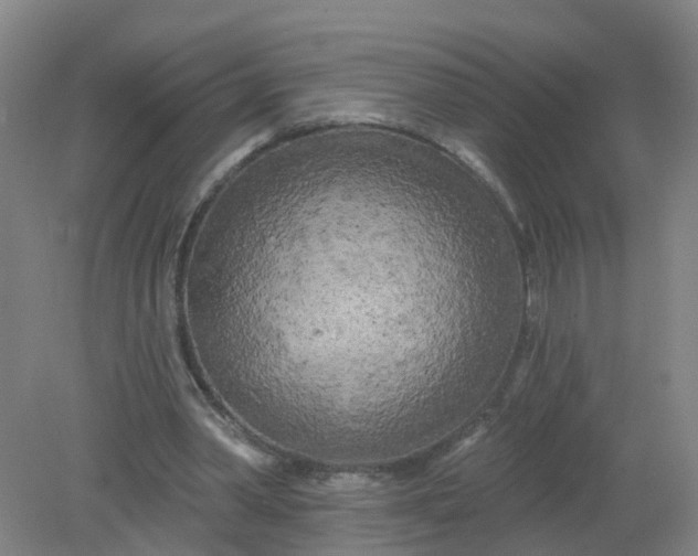 X0000079330390200612011913