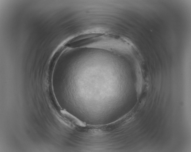 X0000079330392200612011913