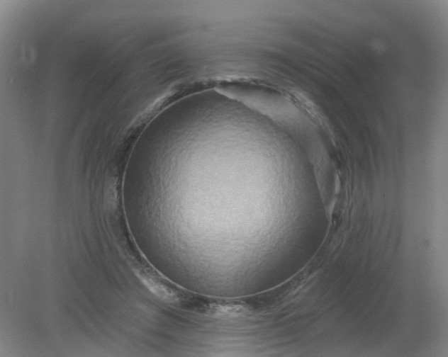 X0000079330401200612011913